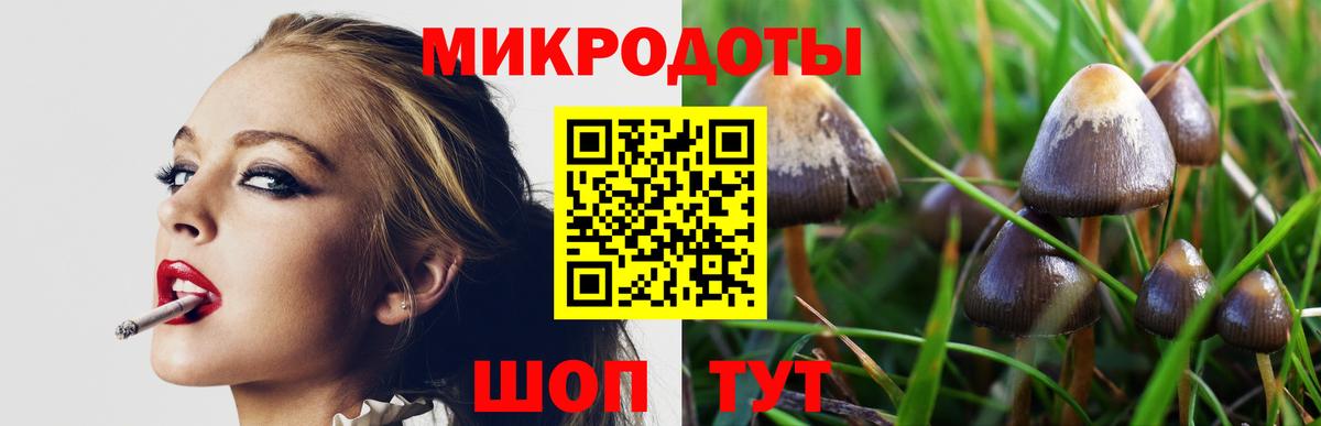 Дербент  Псилоцибиновые грибы Psilocybine cubensis  купить  сайты  Вход с VPN 